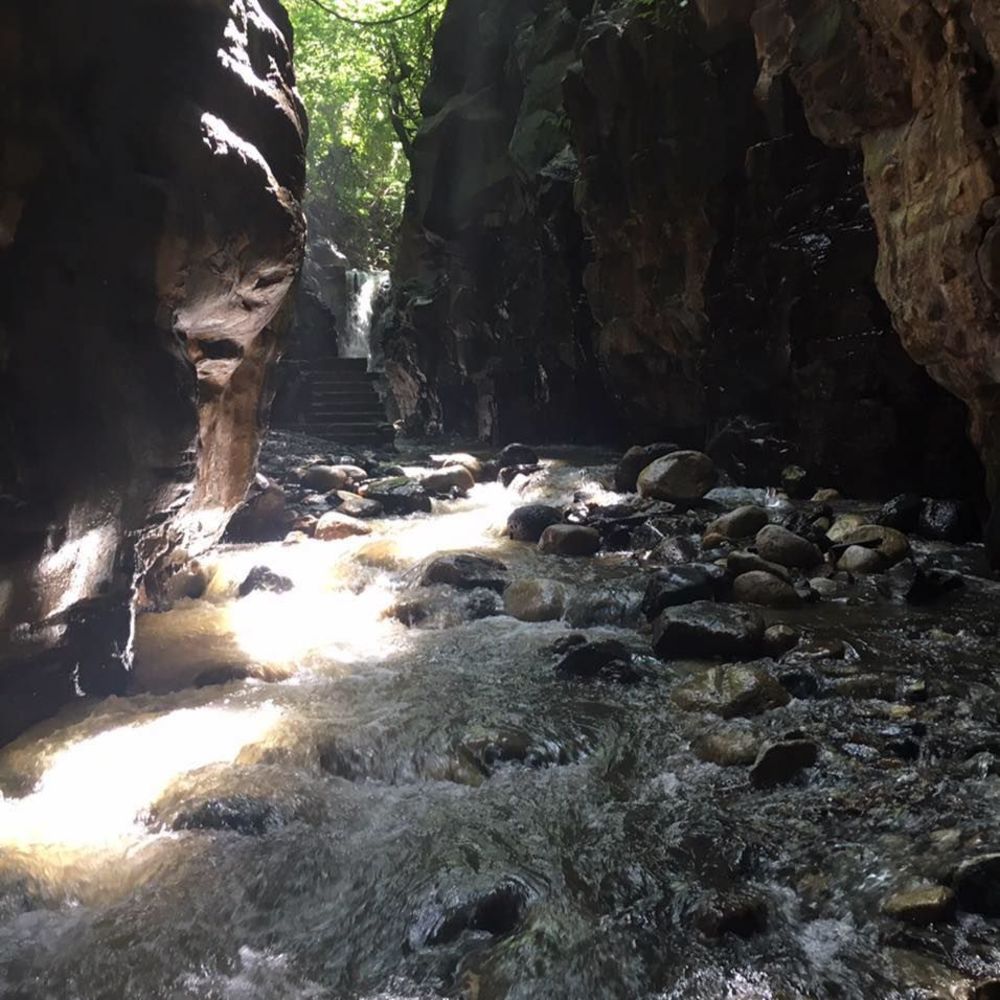 Meet your Posher, Vashty